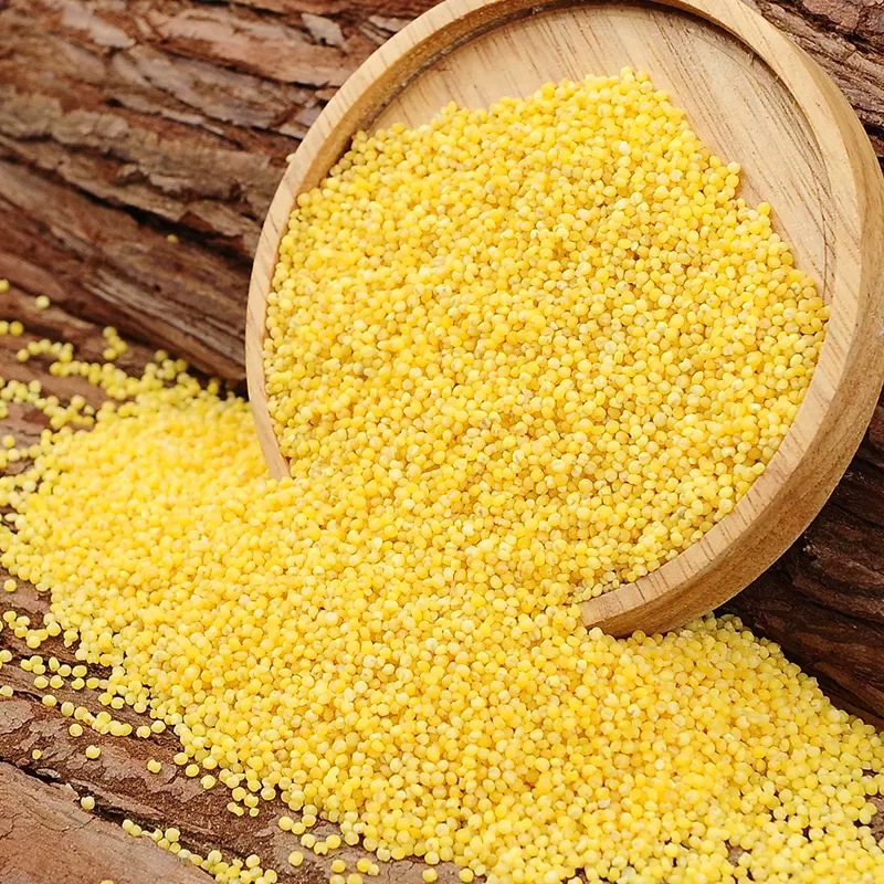 Northeast Black Soil Organic Yellow Xiao Mi 500g 0.5kg Vacuum Whole Grains Whole Grains New Rice Xiao Mi Porridge Manufacturer Wholesale