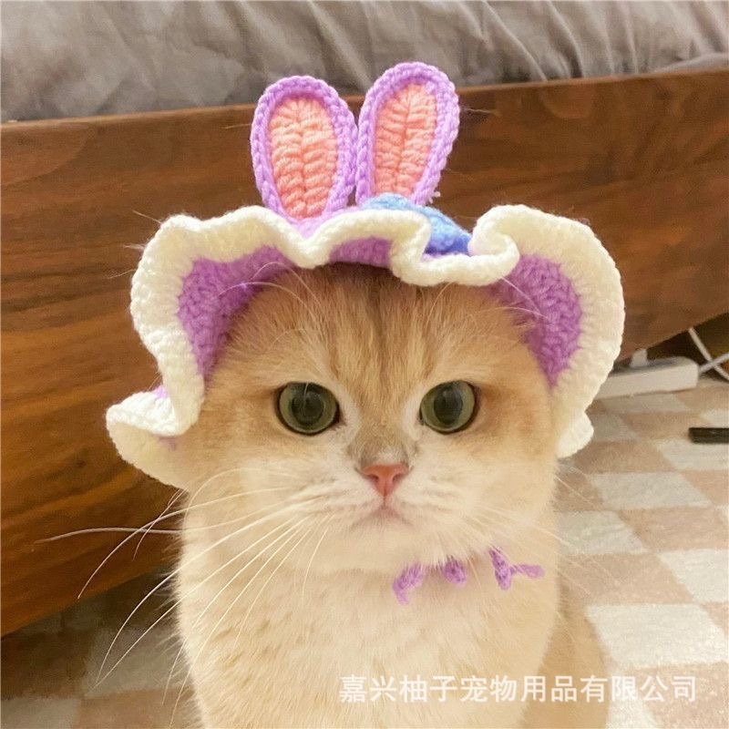 Amazon pet headgear cat dog knitted hat cospaly props headdress funny transformation clothing wholesale