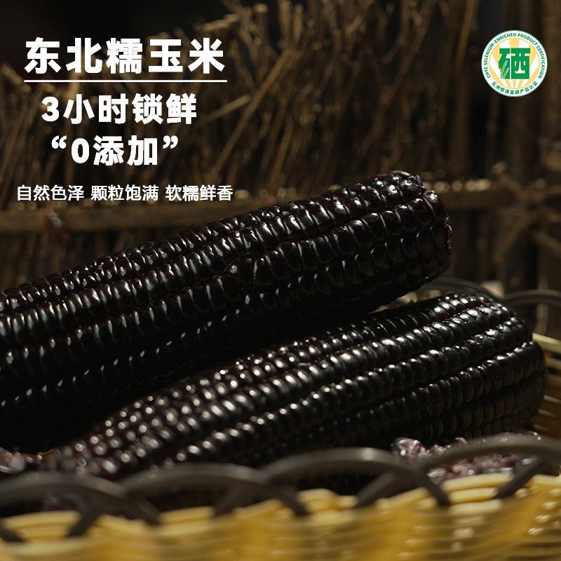 Fresh Seasonal Northeastern Corn, Glutinous Corn, Selenium-Rich Black Corn, Individually Vacuum-Packed, 8 Large Sticks of Sweet Corn