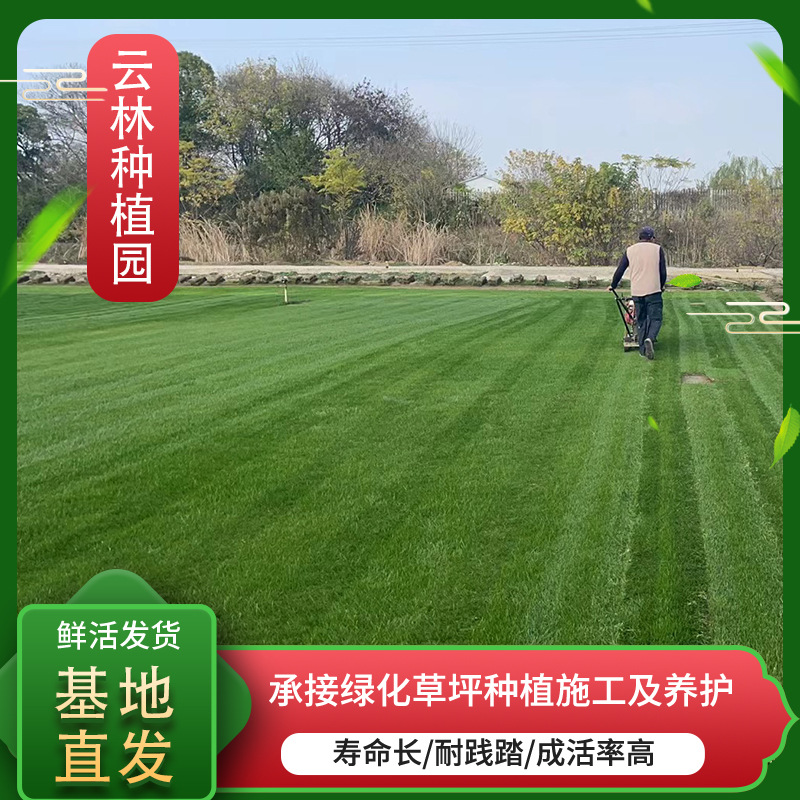 Real Turf with Soil, Park Garden, Stadium, Community Artificial Turf, Courtyard House Greening, Real Turf Lawn