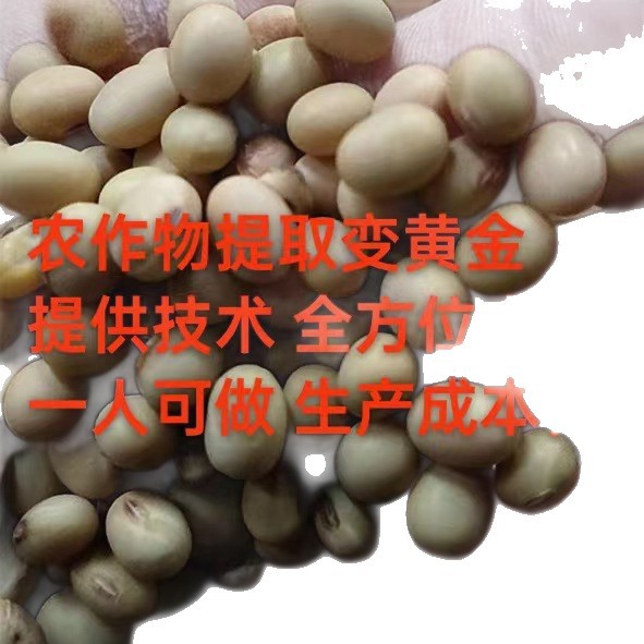 Deep Processing of Crops to Extract Plant Protein Peptides Opens the Path to Wealth from Turning Corn into Gold. Repurchase Support