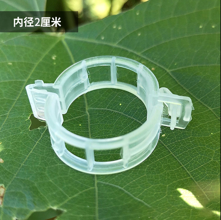 Plant melon and fruit plant clip plastic Vine clip branch clip hanging vine clip Vine clip tomato clip Vine fixed clip