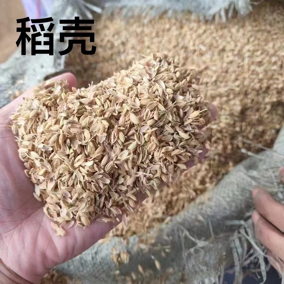 Поставка рисовой шелухи, корм для скота, овец, кур, подстилка для домашних животных, наполнитель для подушек, скотоводство, дистилляция, виноделие, посадка Дапенг