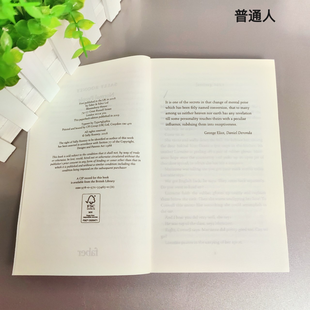 Ordinary People Normal People English Novel Sally Rooney