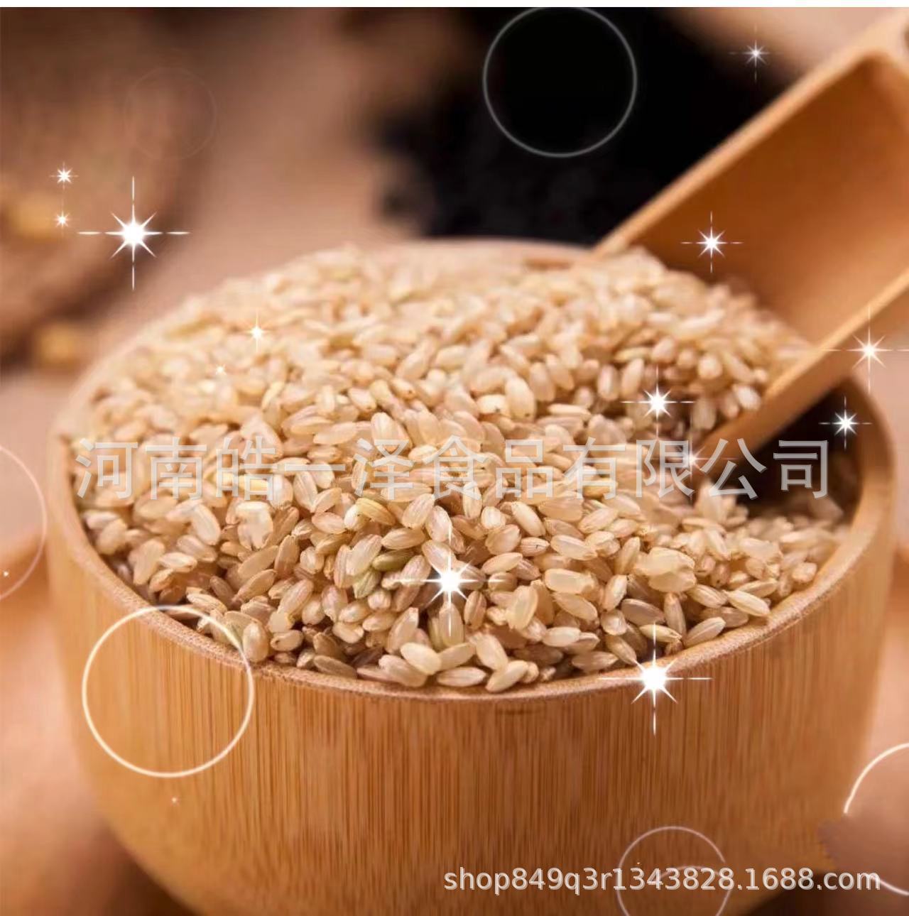 Low temperature baking brown rice whole grain grinding raw material new rice farm coarse grain factory wholesale cooked brown rice