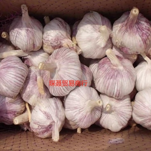 Purple garlic 2.50kg 2024 season whole box of fresh vegetables newly dried garlic wholesale red farmer's own