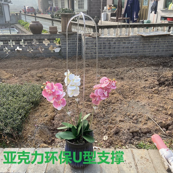 Acrylic Potted U-Shaped Plant Climbing Pergola Plant Support Rod Flower Stand Gardening Bracket Rose Pothos