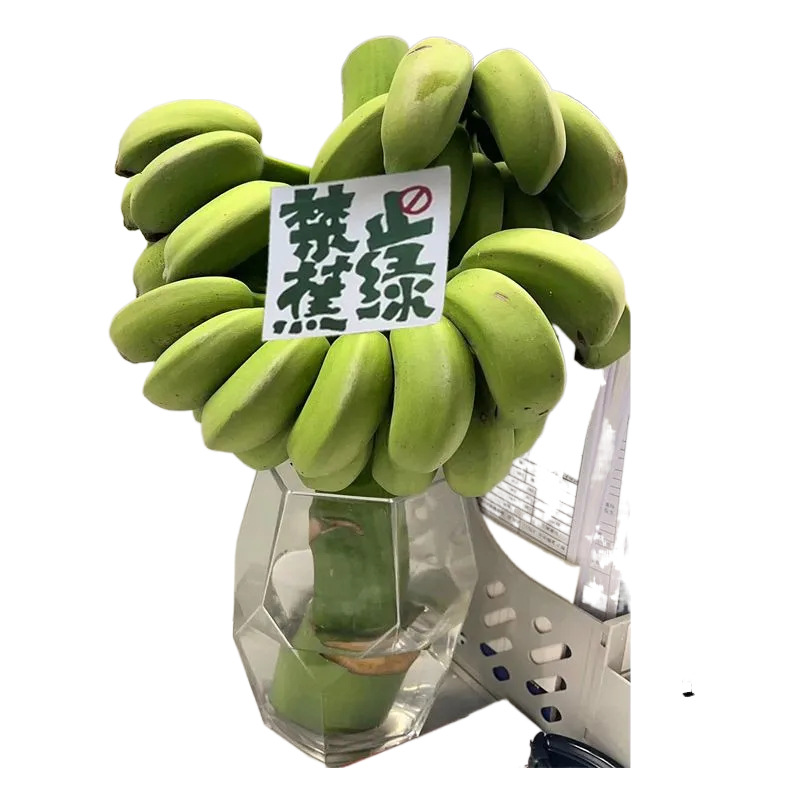 Whole Bunch of Bananas with Handles, Fresh Bananas, Small Bananas, Freshly Chopped Green, Ready-Made, Whole Bunch in Box, Drop Shipping