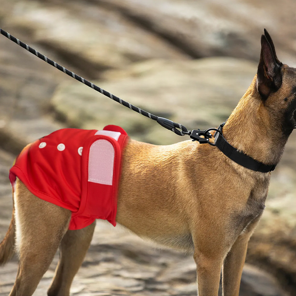 Amazon new dog physiological pants bitch physiological pants diaper menstrual cloth diaper pet physiological pants factory