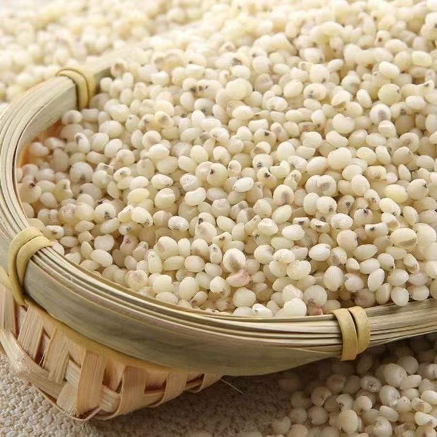 Seasonal New Arrivals: Northeastern Farm Sorghum Rice, White Sorghum Rice, Sorghum Kernels, Shelled Grains, Whole Grains, and Coarse Grains for Dropshipping