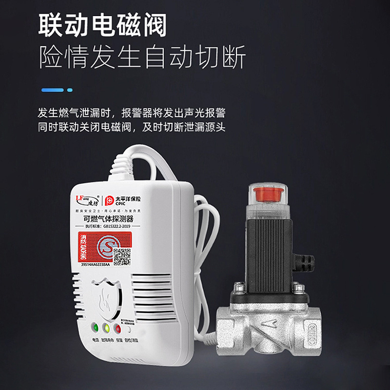 LinGfanG JT-G55 Gas Alarm Home Kitchen Natural Gas Liquefied Gas Gas LeakaGe Detector