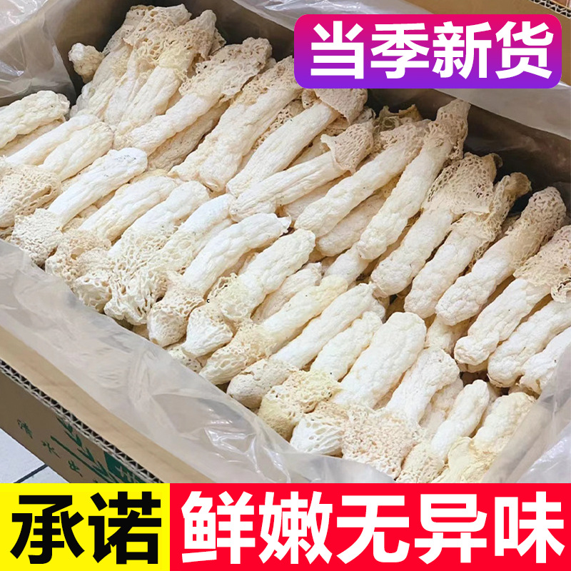 Wholesale of Dried Bamboo Fungus from Gutian, New Stock, Sulfur-Free, Net Weight, Suitable for Soup, Bamboo Fungus Mushrooms, Long Skirt Bamboo Fungus, Hot Pot Ingredients