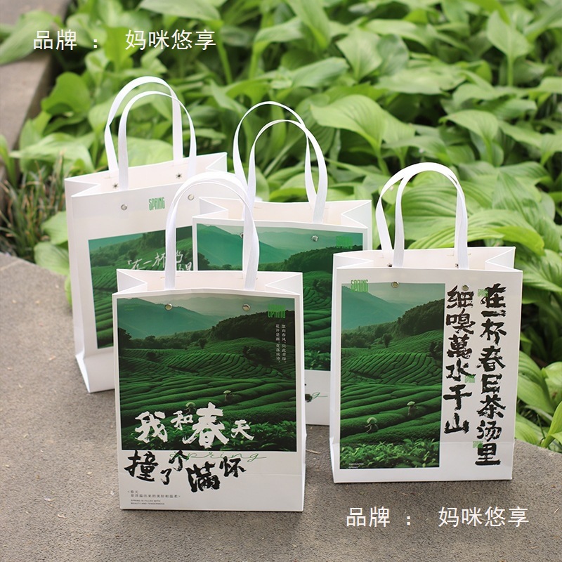 Spring Tea New Handbag Green Tea New Tea Packaging Bag Mingqian Longjing Biluochun Huangshan Maofeng Anji White Tea Gift