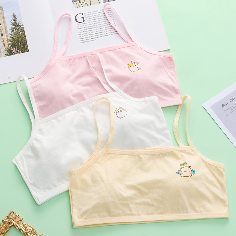 Development period small vest female student girl underwear big children 9-12-15-16 years old girl primary school girl bra