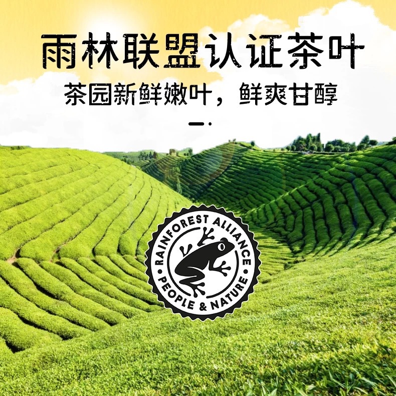 Classic Green Tea E80 Tea Bag Individually Packaged Catering Hotel Milk Tea Commercial Afternoon Taikoo Tea