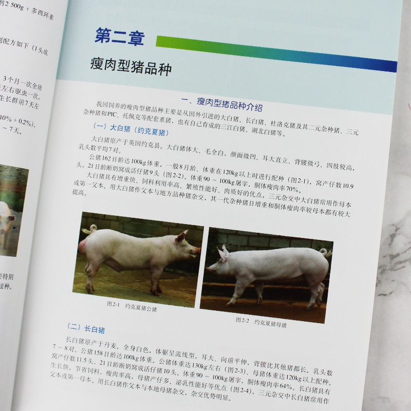 Scientific pig breeding and pig disease prevention and control primary color atlas second edition pig disease Identification Atlas medication
