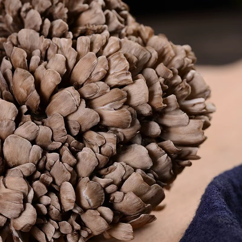 Yunnan Fresh Grifola Frondosa Hot Pot Mushrooms Catering Edible Fungi Wholesale Grifola Frondosa Mushrooms