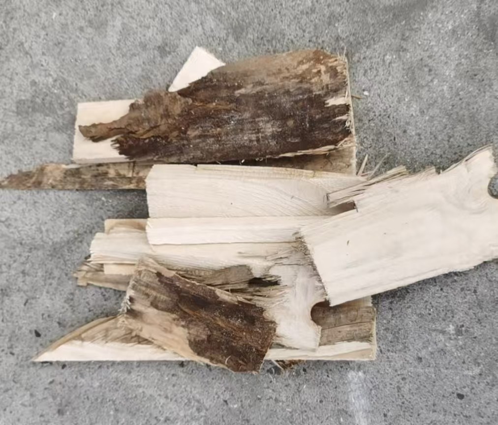 [Smoke-Free, Flammable and Burn-Resistant Firewood] Designed Specifically for Fireplaces/Fires! the Dryness Meets the Standard and It Will Burn When Ignited