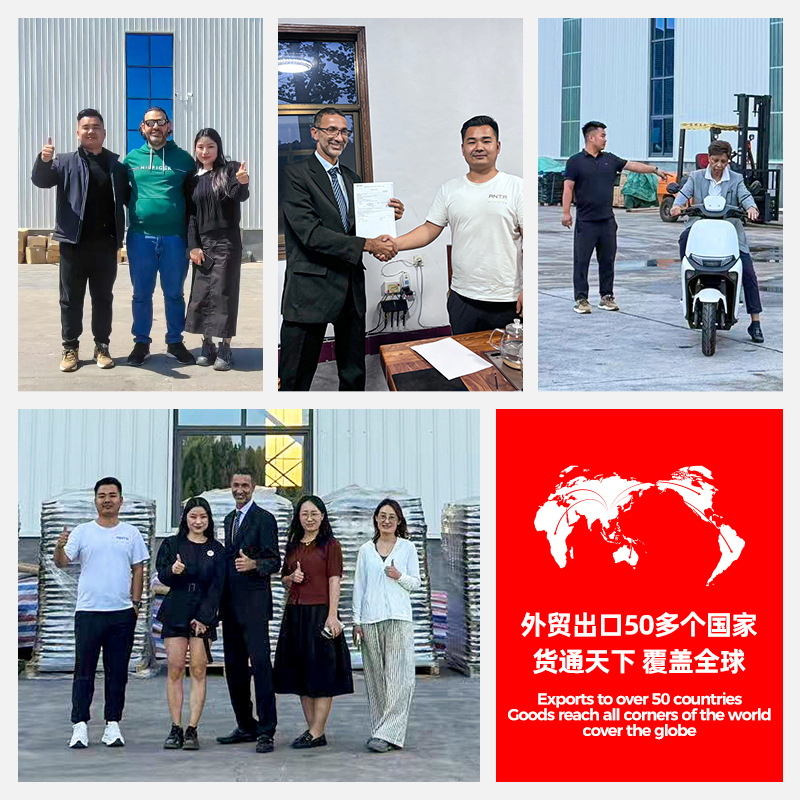 N9 Small 9 New Electric Vehicle 48V Electric Bicycle Two-Wheel Battery Vehicle Manufacturer Wholesale Source Factory