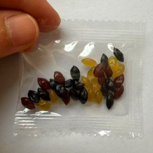 Miniature Food Toys, Candied Dates, Raisins, Small Corn Kernels, Grains, Props, Nuts, DIY Mini Kitchen Ingredient Packs