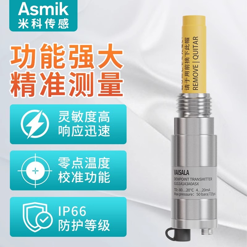Vasala DMT143 dew point meter transmitter workshop temperature and humidity display sensor probe RS485