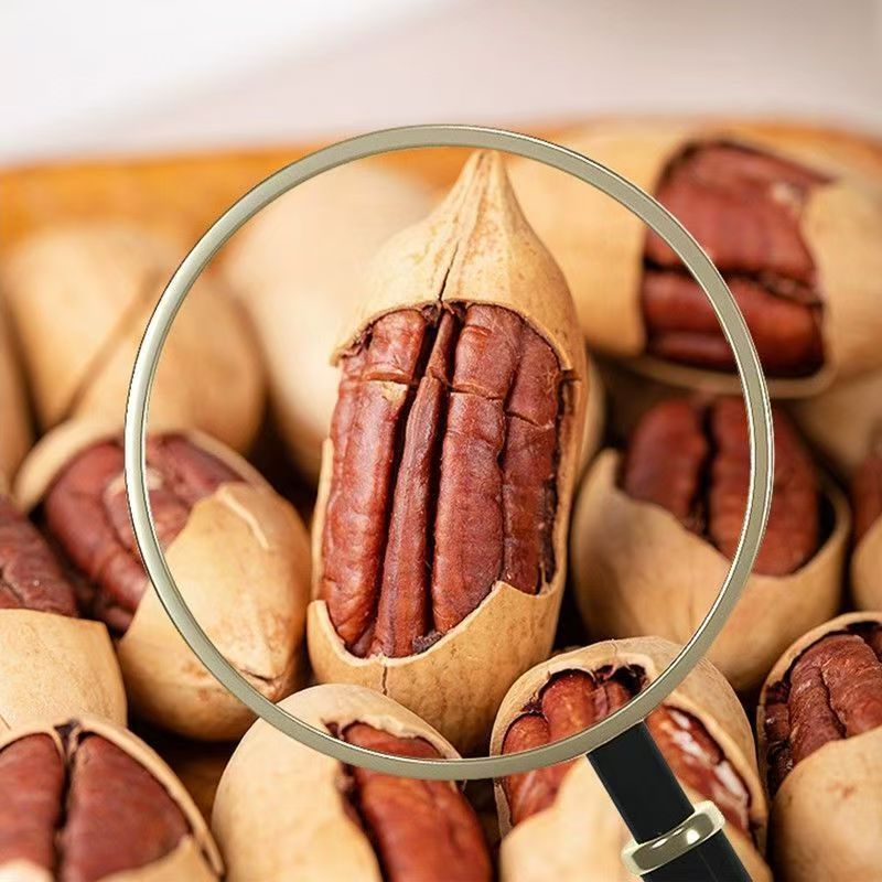 New Arrival Pecan Dried Fruit Nuts Pecan Longevity Fruit Casual Snacks Large Particles New Year Goods Must-Have Wholesale