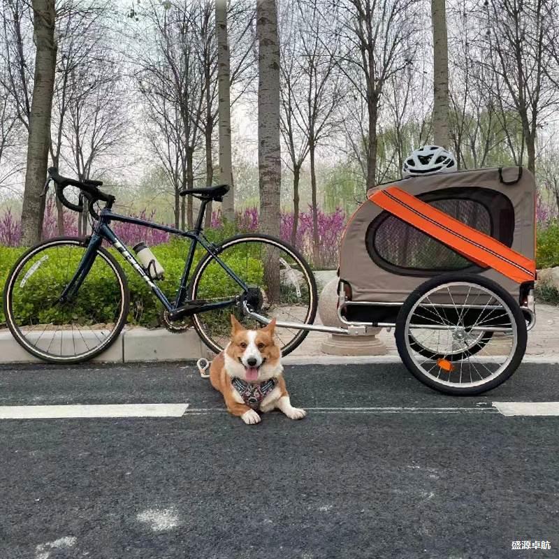 Portable Outdoor Large Pet Bicycle Trailer Cat and Dog Stroller Outdoor Cycling Travel Cargo Trailer
