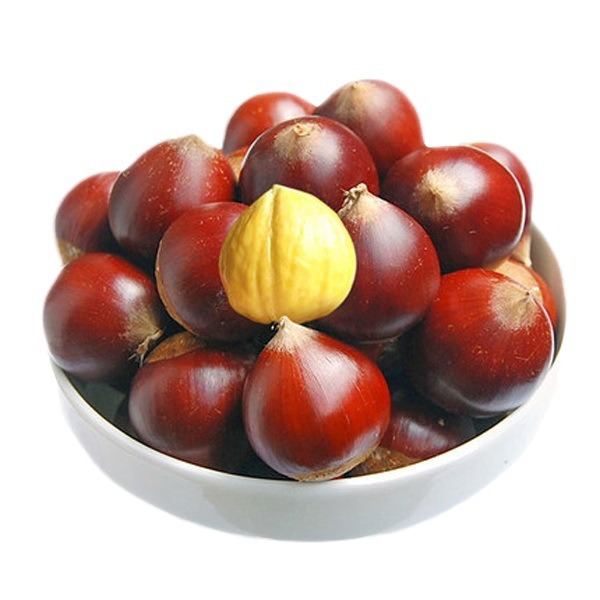 Free Shipping, Fresh Cone Chestnuts, Jianzhu Cone Chestnuts, Direct Delivery from the Origin, High Mountain Chestnuts Wholesale, Large Quantity, Favorable Price, Kilogram Price