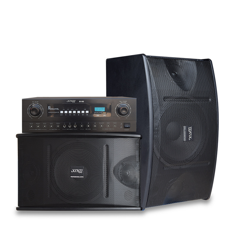 Family KTV high-power card speaker 8 inch 10 inch multimedia fitness conference dance room background audio wholesale