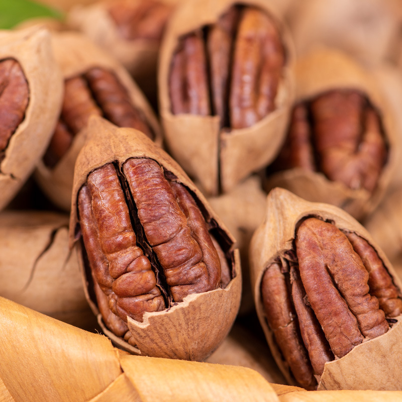 Pecans in Bulk Wholesale Nut Snacks Manufacturer Casual Dried Fruits Roasted Goods American Walnuts Thin-Shelled Longevity Nuts with a Milky Flavor