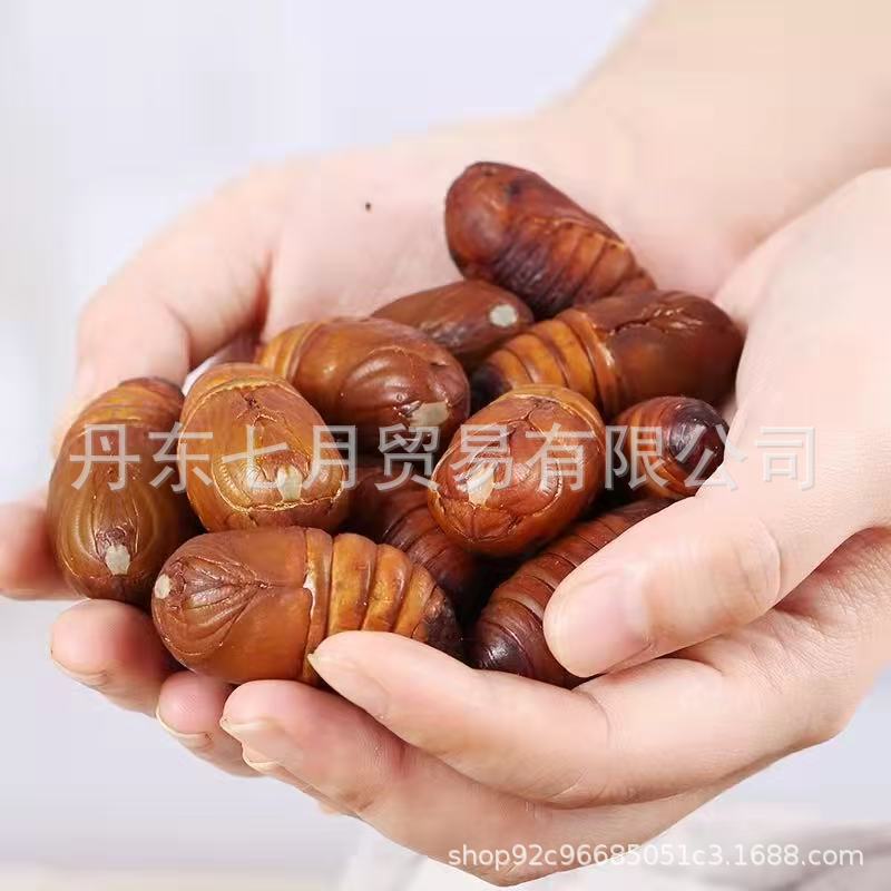 Northeastern Farmers Raise Silkworm Pupae in the Wild, Keeping Them Fresh and Alive, Large Live Silkworm Pupae, Live and Fresh Specimens