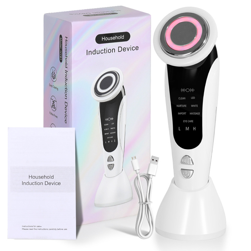 Beauty Instrument Introduction Instrument with Ems Ion Facial Color Light Beauty Instrument Skin Care Instrument Microcurrent Red Light Skin Rejuvenation