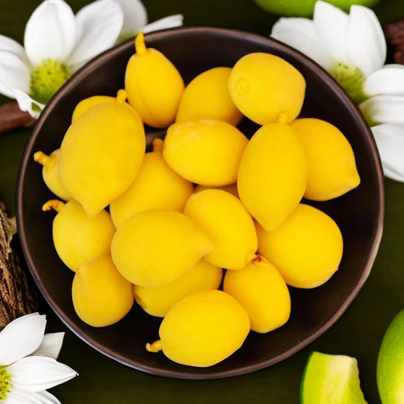 Rongnide Sweet and Sour Crispy Peach 95g Bagged Candied Cold Fruit Childhood Flavor Throat-Locking Peach Nostalgic Snack Whole Box Wholesale