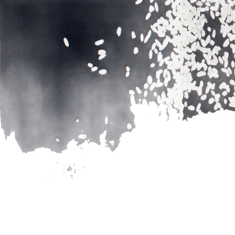 In Chu fragrant rice double-sided rice brick 5kg Wuchang Tonghe long grain fragrant rice northeast rice 10kg a generation of hair