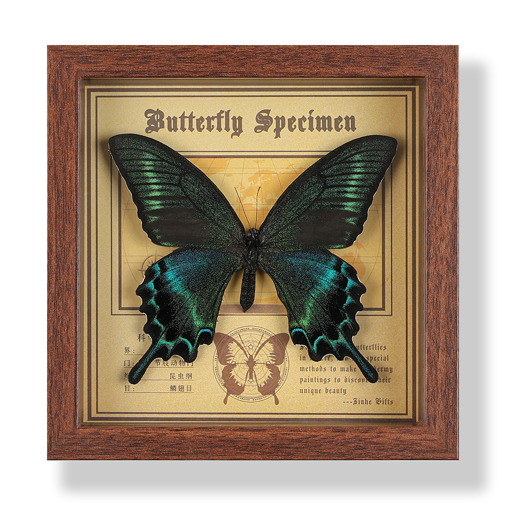 Real Butterfly Specimen Photo Frame Decorative Painting Stereo Ornaments Handmade DIY Birthday Gift Insect Specimen