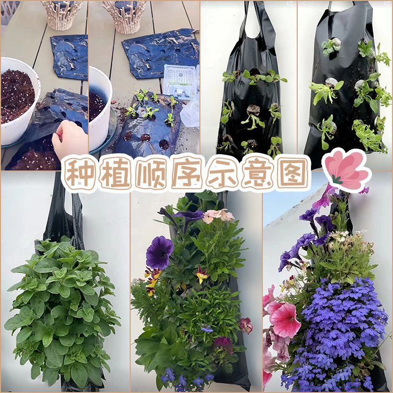 Hanging Seedling Bag Pe Flower Bag Dwarf Morning Glory Cultivation Bag Satchel Strawberry Planting Bag Home Gardening Bag