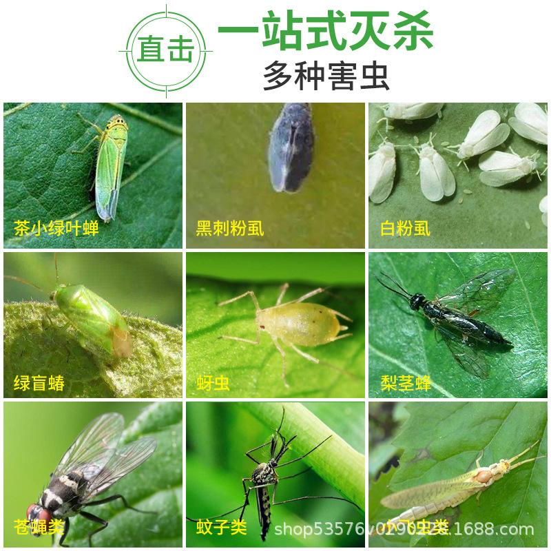 Sticky Insect Board Yellow Board Double-sided Trap Board Sticker for Small Flying Insects Drosophila Trap Orchard Mosquitoes Flies Greenhouse