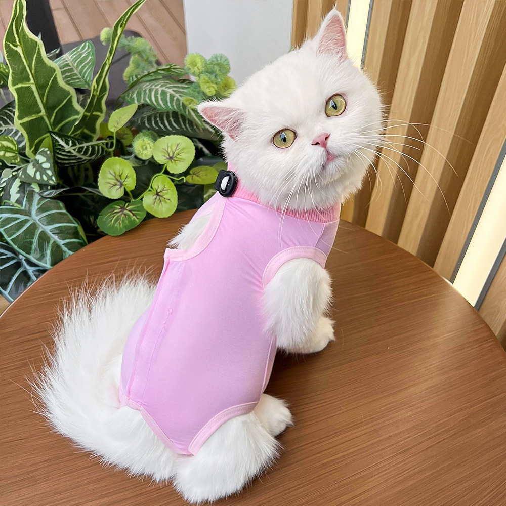 Pet Supplies Cat Clothes Cat Sterilizing Post-Sterilizing Clothing Anti-Lick and Bite Soft Super Elastic Short Blue Cat Hair-Free Supplies