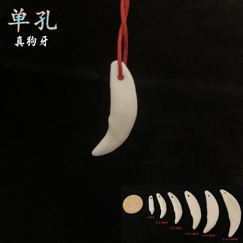 Экземпляр настоящего зуба собаки, детское ожерелье DIY для мальчиков и девочек, кулон в форме зуба волка, черный зуб собаки