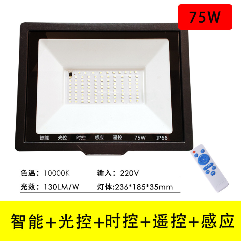 Light control flood light with induction led residential garden light outdoor street light waterproof outdoor light 220V dark light