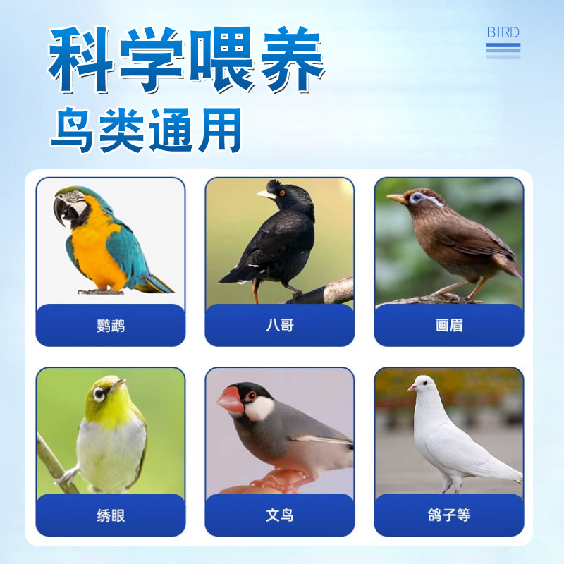 Special Probiotics for Parrots, Black Phoenix and Starlings, Birds Accumulate Food, Loose Stools, Watery Green Stools, Diarrhea, Gastrointestinal Aid, and Digestion