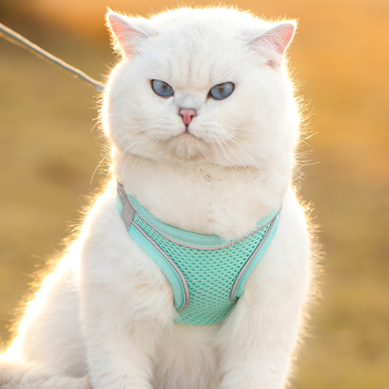 Cat Traction Rope Anti-break Vest Breathable Reflective Pet Chest Strap Small Dog Cat Walking Rope Pet Supplies