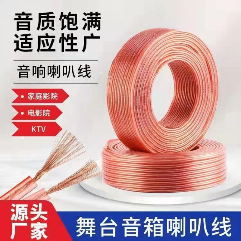 Professional Audio Cable Speaker Cable Speaker Cable Audio Cable Link Cable Audiophile-Grade Amplifier Car Surround Cable Universal