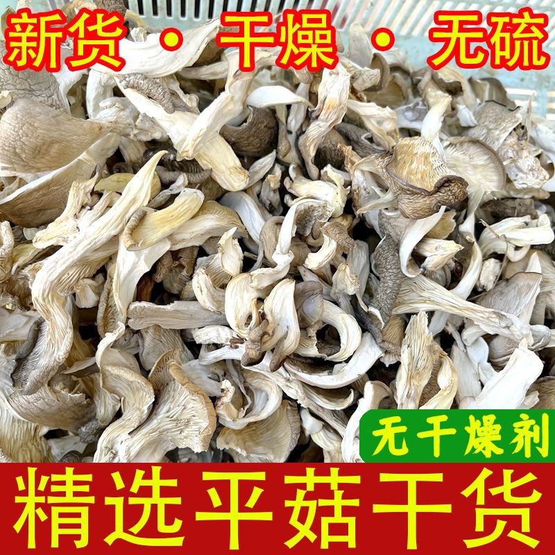 New Arrival Without Desiccant, Dried Oyster Mushrooms 500g, Dried Mushrooms, Dried Mushrooms, White Mushrooms, Dried Oyster Mushroom Strips, Non-Fenqiu Mushrooms