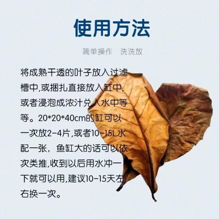 Douyu's Special Natural Terminalia Leaf Reduces Water Quality Ph Value, Reduces Acidity, Prevents Burning, Tail Clip Tail Adjustment and Improves Water Quality