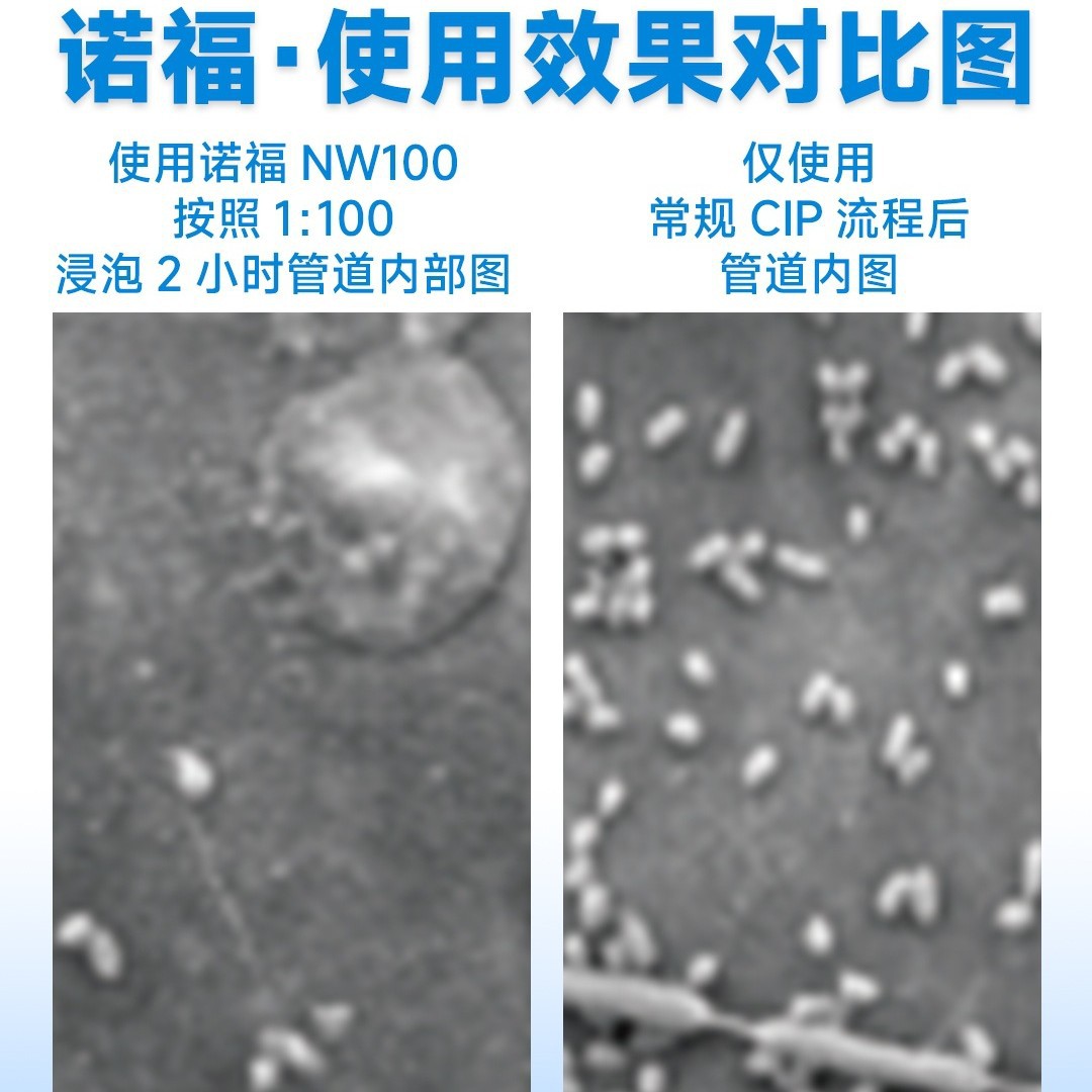 Food-Grade Hydrogen Peroxide Kills Green Slime Biofilms in Purified Water Pipes to Ensure That the Total Number of Bacterial Colonies in the Water Meets the Standards