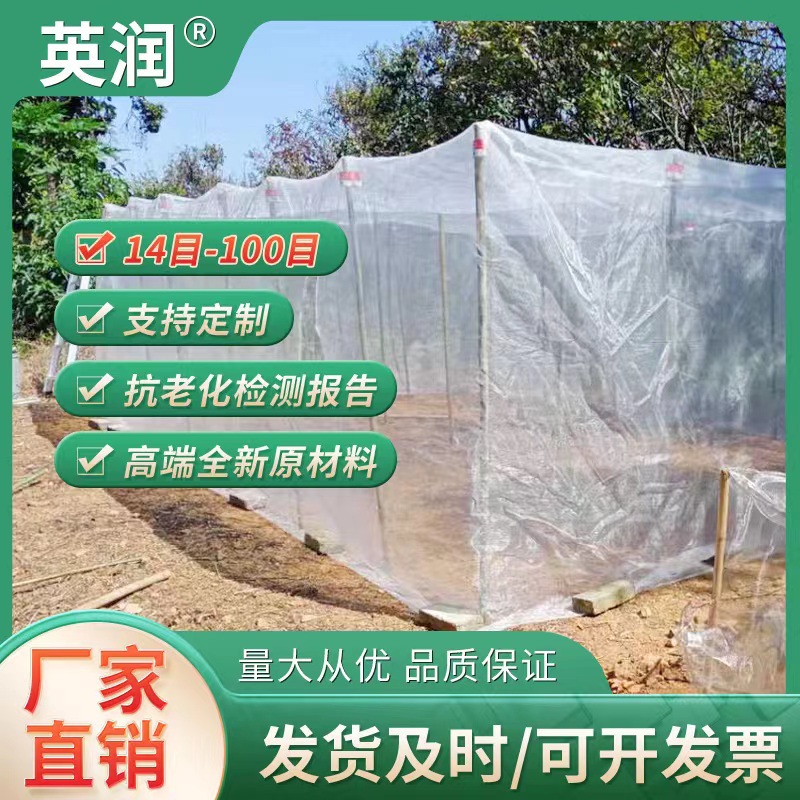 Insect-Proof net 40 mesh 80 mesh vegetable greenhouse thickened fruit tree plant pig farm insect-proof net cover grasshopper breeding insect-proof net