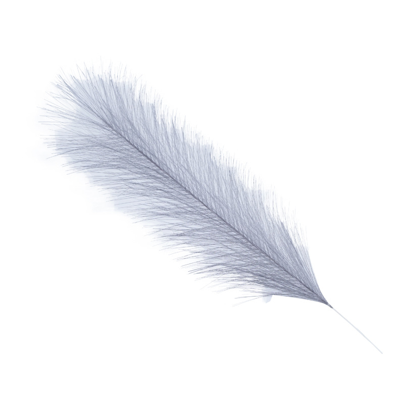 Dried flower big Reed pommel dried flower white color Net Red big Reed wedding layout soft outfit structure flower wholesale