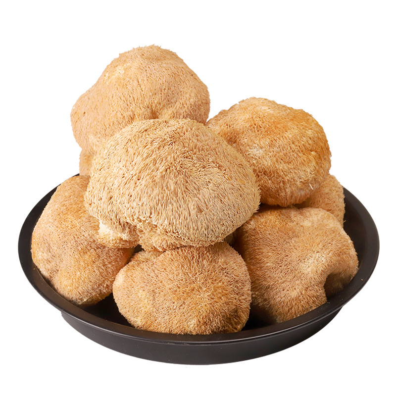 Gutian Hericium Dry Goods Deep Mountain Soup Hericium 500g Bagged Mushroom Wholesale Factory Direct Delivery