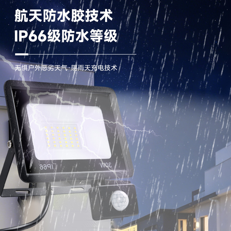 Led Floodlight Outdoor Waterproof Courtyard Infrared Human Body Sensor Floodlight 100W Small Apple Sensor Floodlight